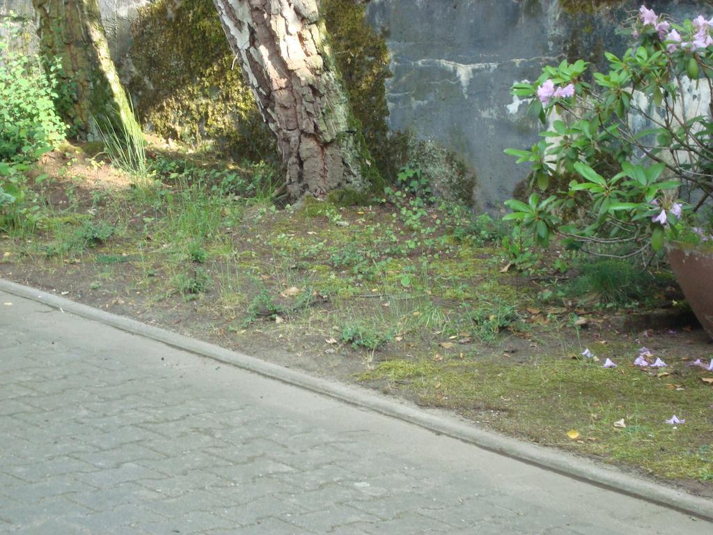 Hotel Gartenhof Mühlheim Kültér fotó